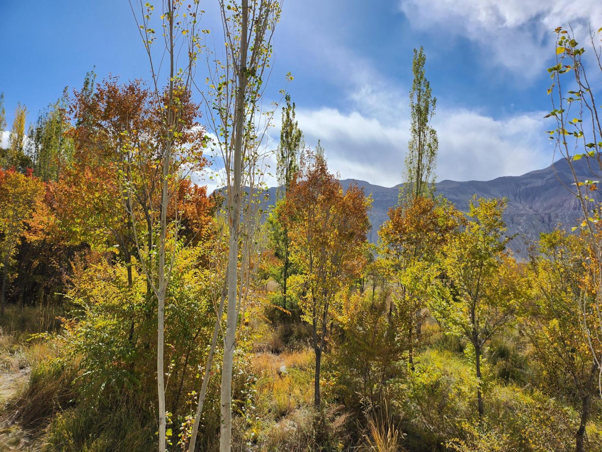 Lharimo Hotel Leh - Ladakh Eksteriør bilde