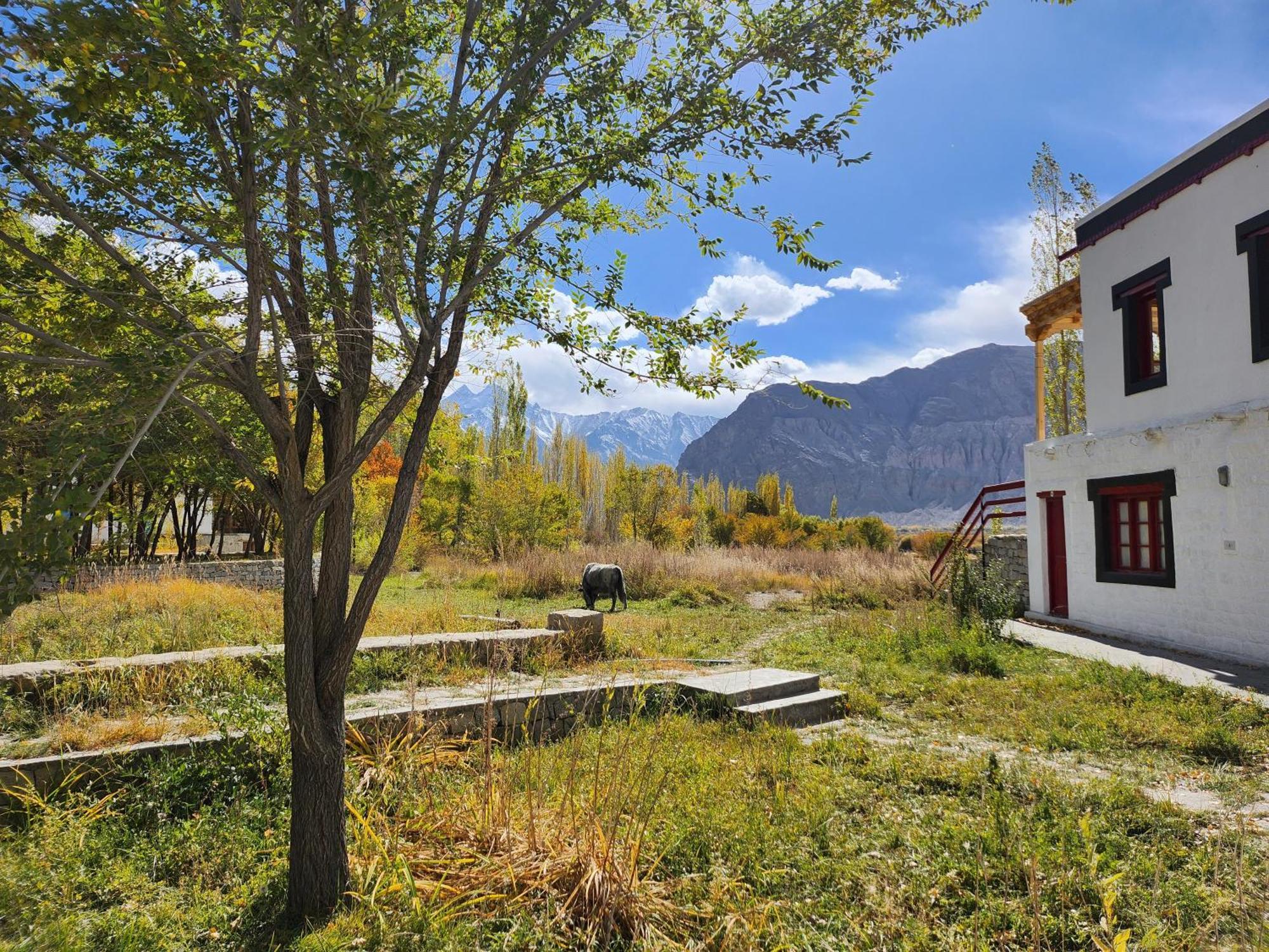 Lharimo Hotel Leh - Ladakh Eksteriør bilde