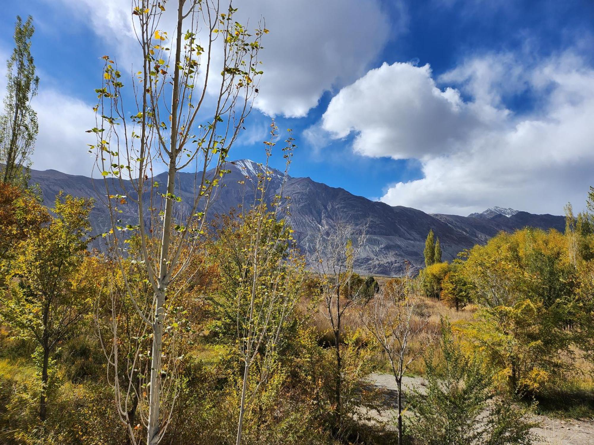 Lharimo Hotel Leh - Ladakh Eksteriør bilde