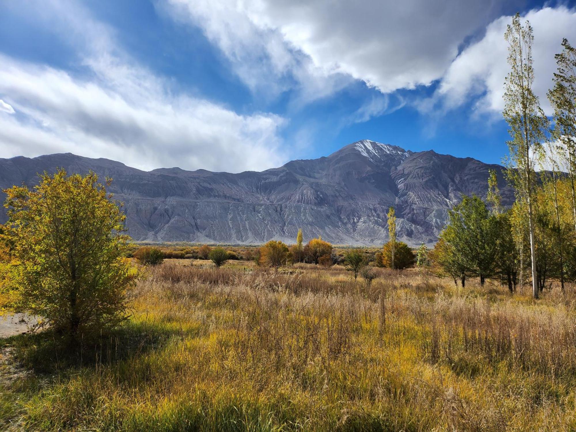 Lharimo Hotel Leh - Ladakh Eksteriør bilde