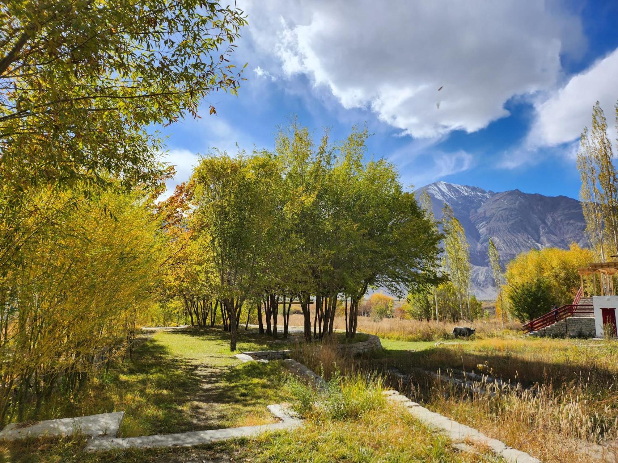 Lharimo Hotel Leh - Ladakh Eksteriør bilde