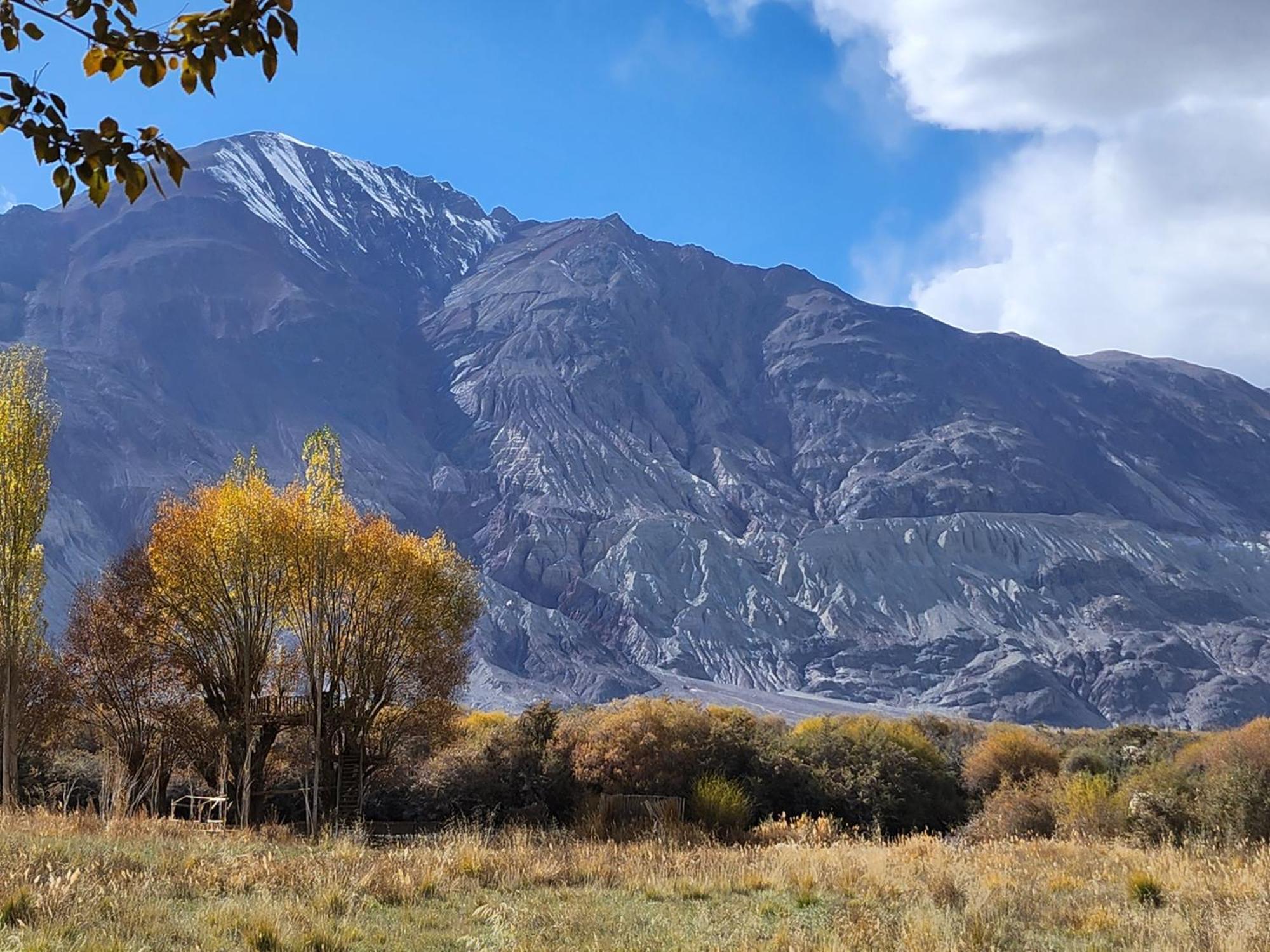 Lharimo Hotel Leh - Ladakh Eksteriør bilde