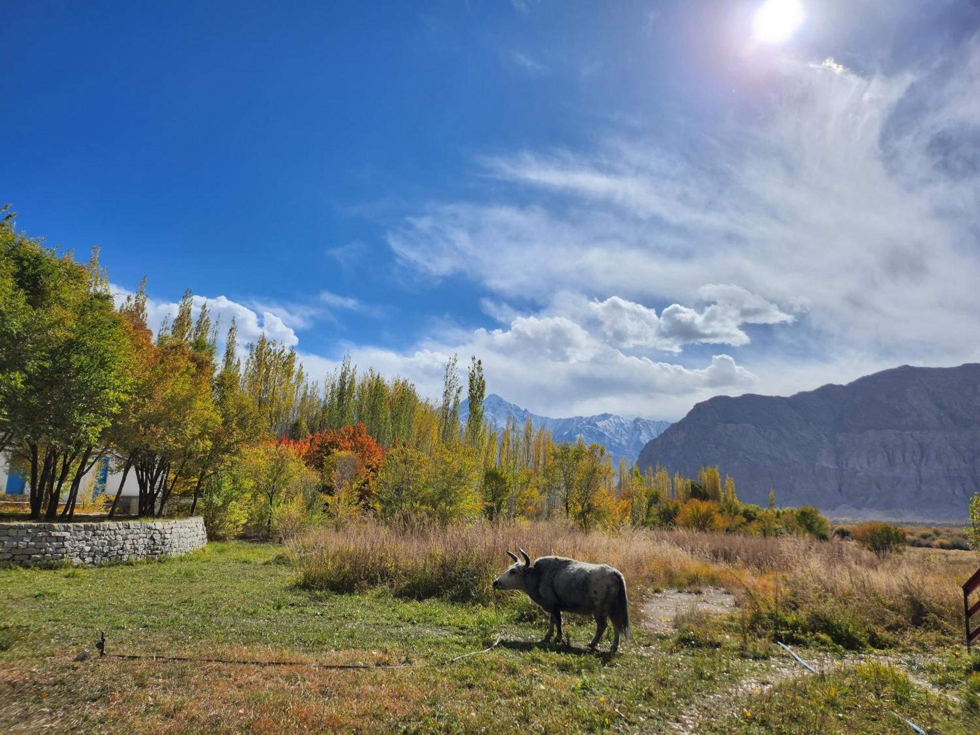 Lharimo Hotel Leh - Ladakh Eksteriør bilde