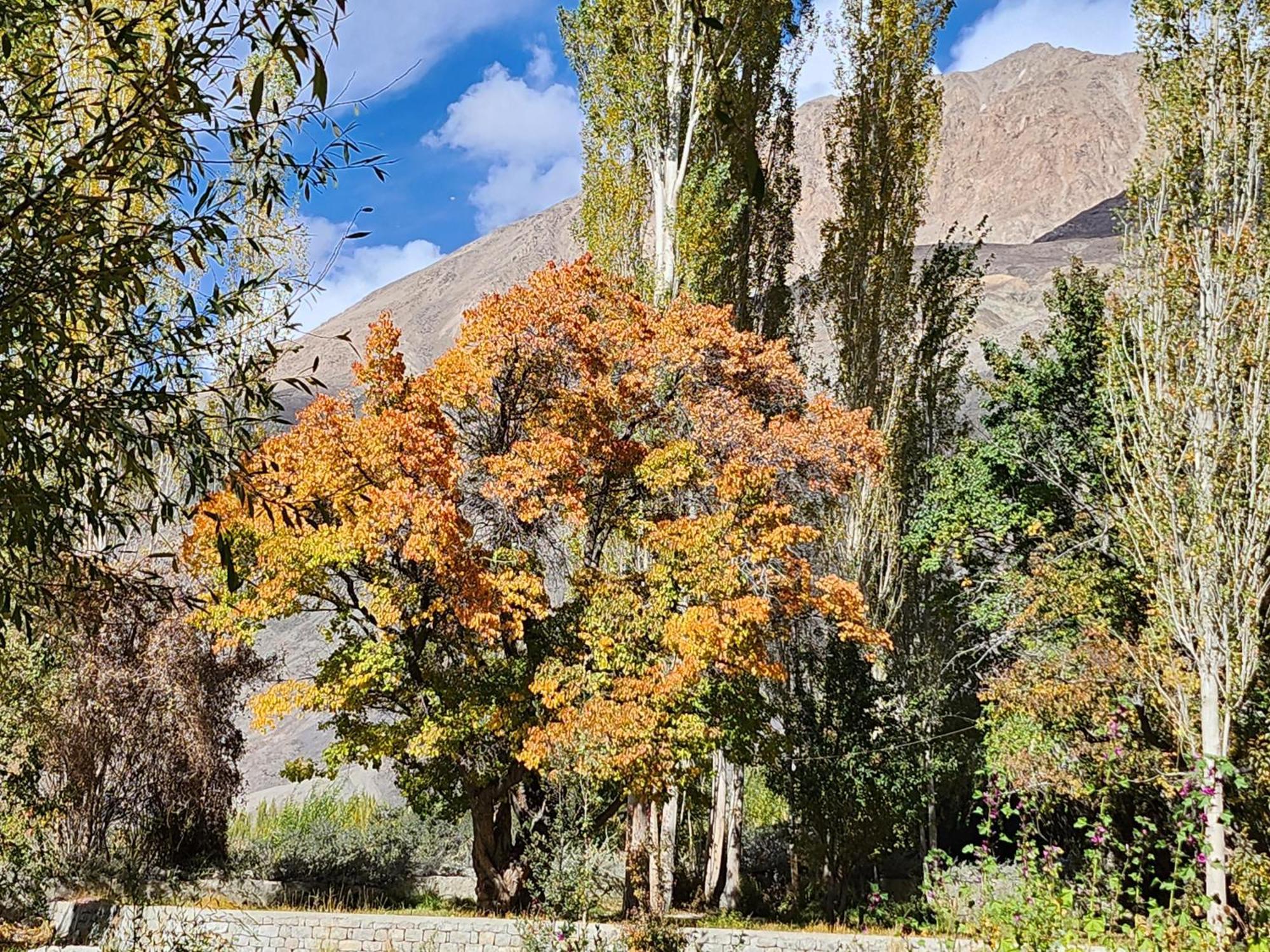 Lharimo Hotel Leh - Ladakh Eksteriør bilde