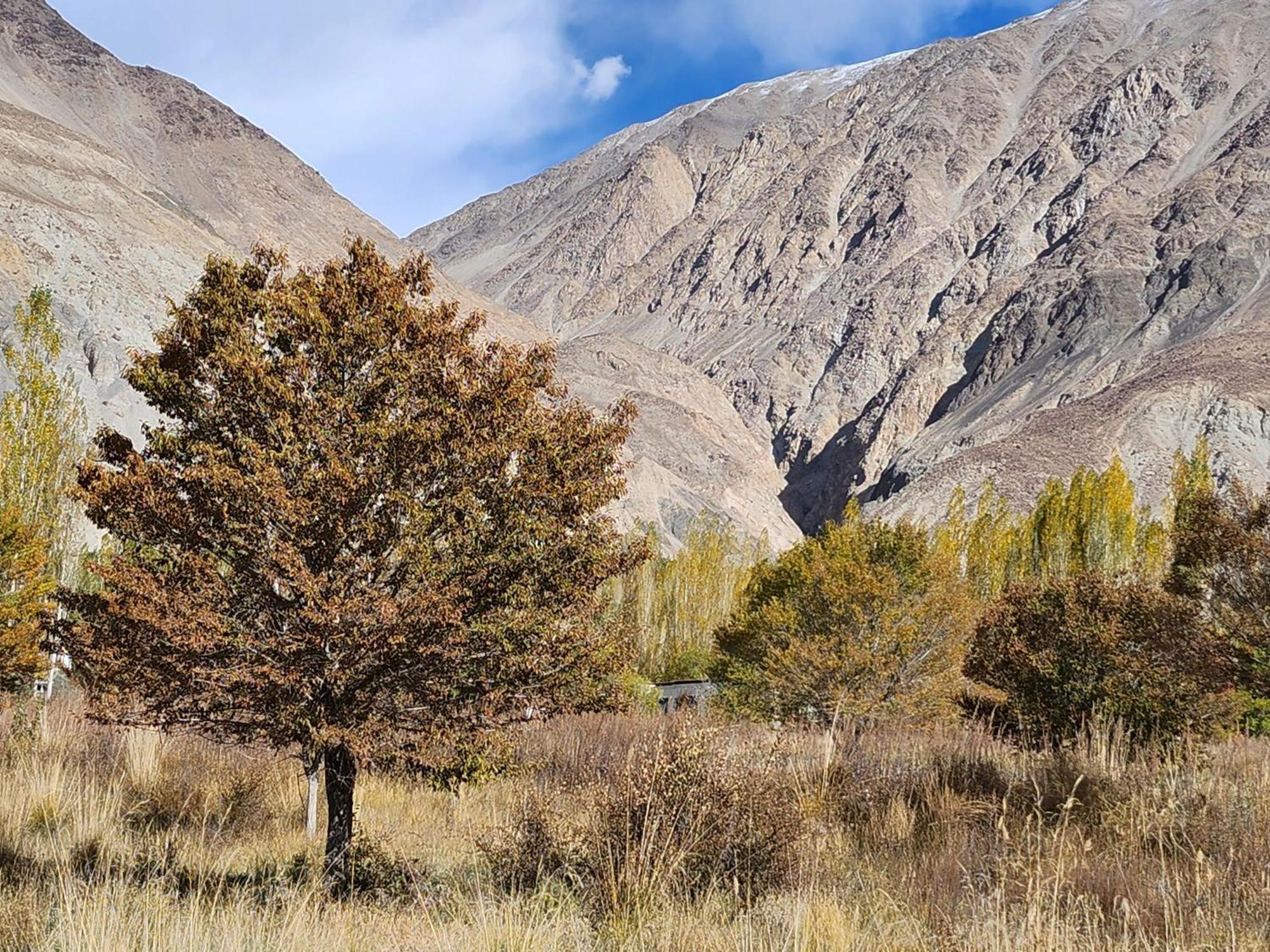 Lharimo Hotel Leh - Ladakh Eksteriør bilde