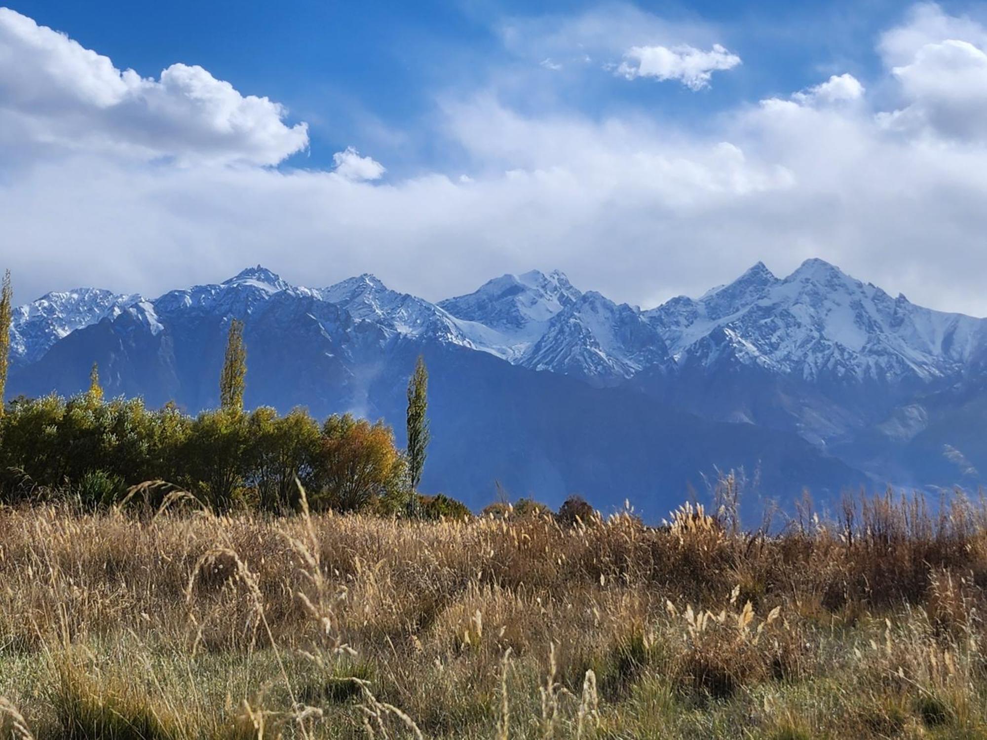 Lharimo Hotel Leh - Ladakh Eksteriør bilde